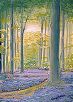 Woodland Walk card